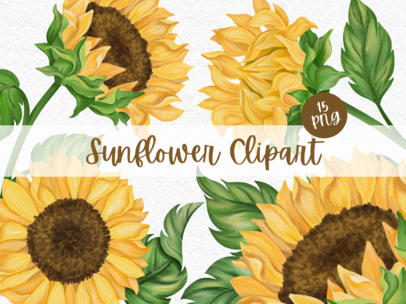 Download Sunflower Watercolor Digital Clipart - Watercolor Collection