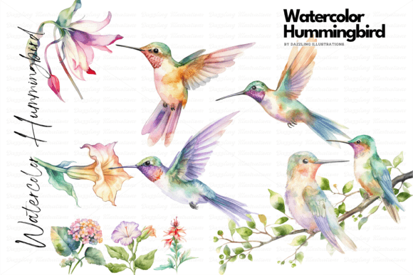 Download Watercolor Hummingbird Set with Flowers - Watercolor Collection
