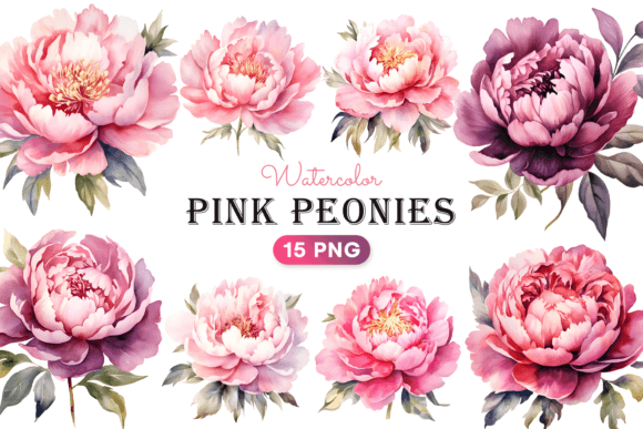 Download Watercolor Pink Peonies Flower Clipart - Watercolor Collection
