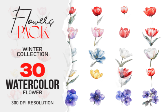 Download Wild Floral Clipart, Watercolor Flower C - Watercolor Collection