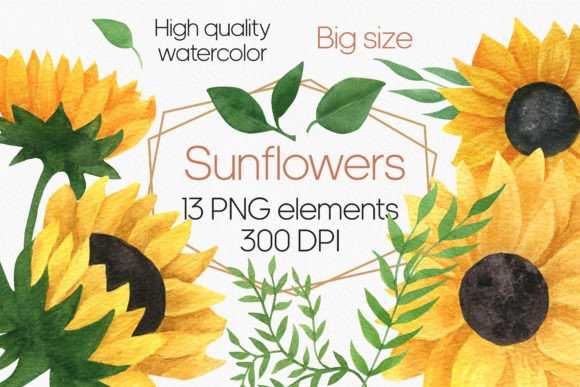 Download Sunflower Watercolor Clipart PNG - Watercolor Collection