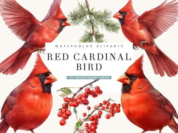 Download Watercolor Red Cardinal Bird Clipart - Watercolor Collection