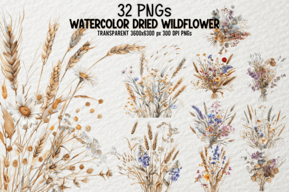 Download Watercolor Dried Wildflower Bundle PNG - Watercolor Collection