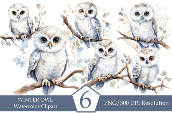 Download Watercolor Winter Owl, Cute White Owl - Watercolor Collection