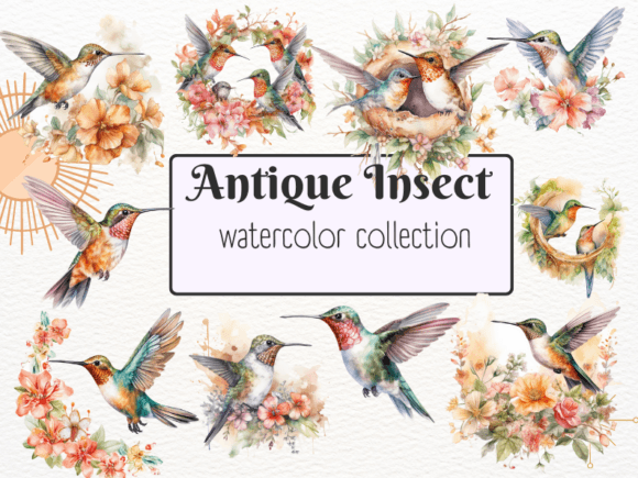 Download Watercolor Cute Hummingbird Clipart - Watercolor Collection
