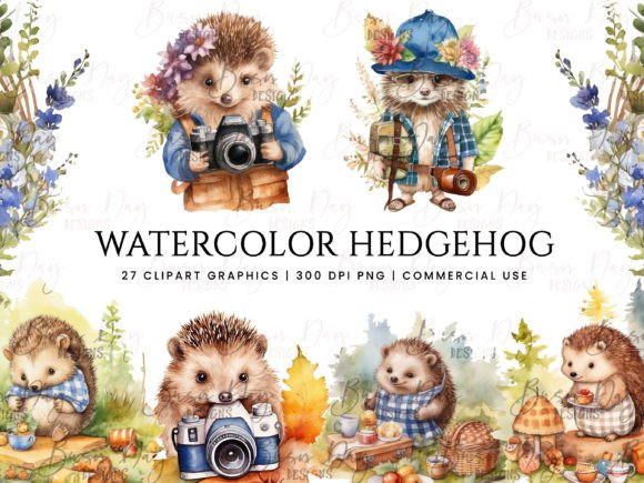 Download Watercolor Hedgehog Clipart Bundle - Watercolor Collection