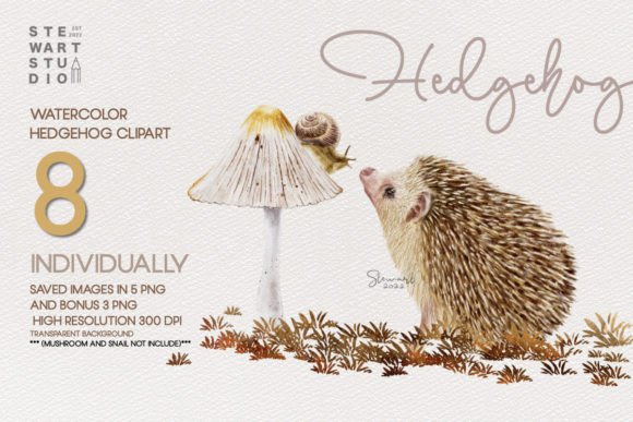 Download Watercolor Hedgehog Clipart - Watercolor Collection