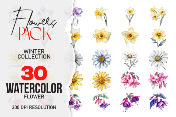 Download Wild Floral Clipart Watercolor Flowers - Watercolor Collection