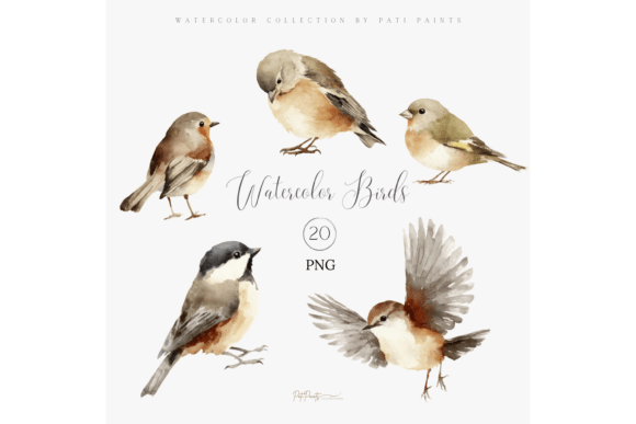 Download Watercolor Bird Clipart Bundle - Watercolor Collection