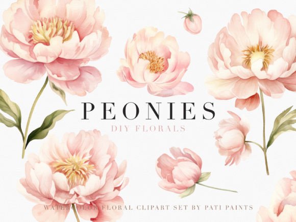 Download Watercolor Dusty Pink Peonies Cliparts - Watercolor Collection