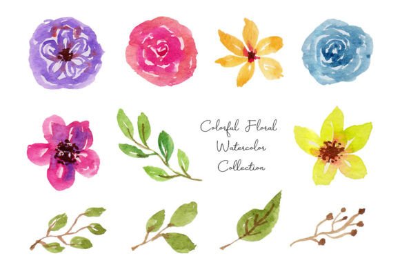 Download Colorful Flower and Leaf Watercolor - Watercolor Collection