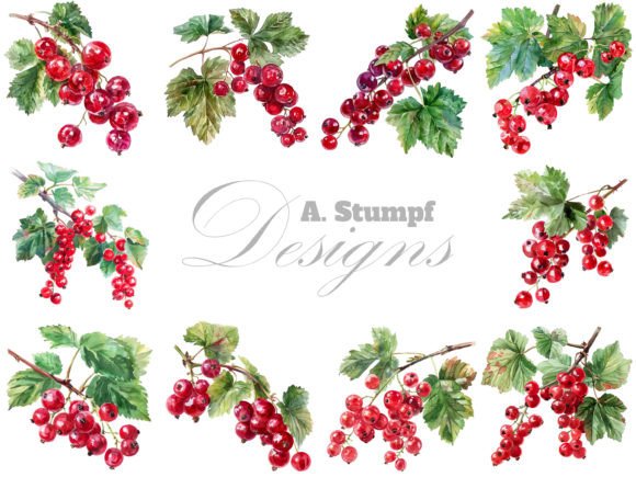 Download Currants Watercolor Berry Clipart Set - Watercolor Collection