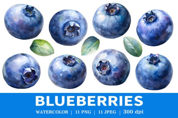 Download Fresh Blueberries Watercolor Clipart - Watercolor Collection