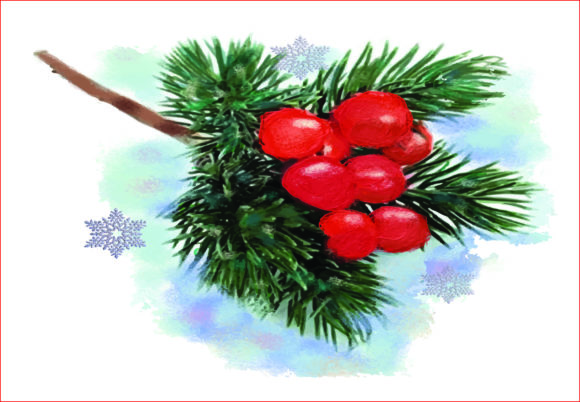 Download Watercolor Christmas Holly Berries PNG - Watercolor Collection