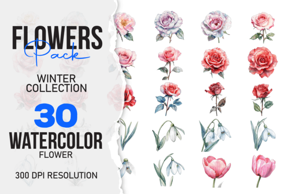 Download Wild Floral Clipart Watercolor Flowers S - Watercolor Collection