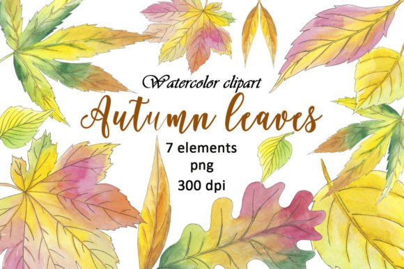 Download Leaves Autumn Watercolor Clipart Maple - Watercolor Collection