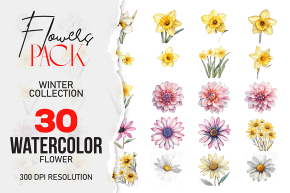 Download Wild Floral Clipart Watercolor Flowers - Watercolor Collection