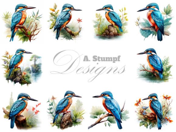 Download Kingfisher Watercolor Bird Clipart Set - Watercolor Collection