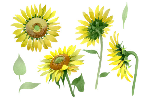 Download Bright Yellow Sunflower Watercolor - Watercolor Collection
