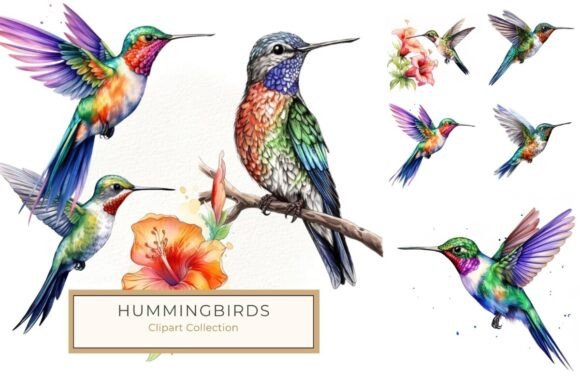 Download Vibrant Watercolor Hummingbird Clipart - Watercolor Collection
