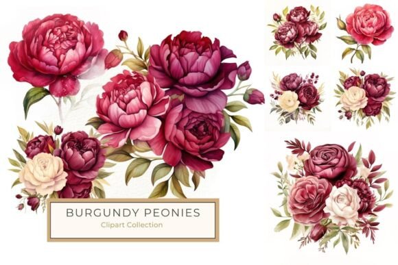 Download Watercolor Burgundy Peonies and Roses - Watercolor Collection