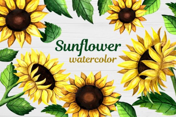 Download Sunflower Clipart Watercolor - Watercolor Collection