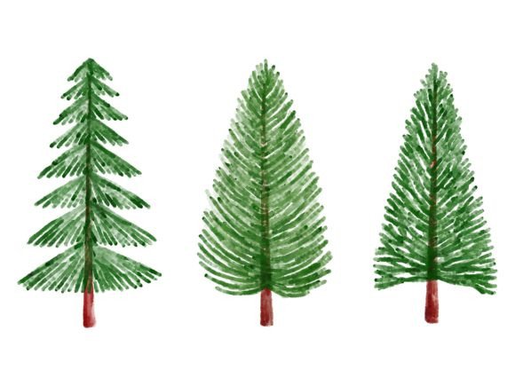 Download Christmas Watercolor Pine Tree - Watercolor Collection