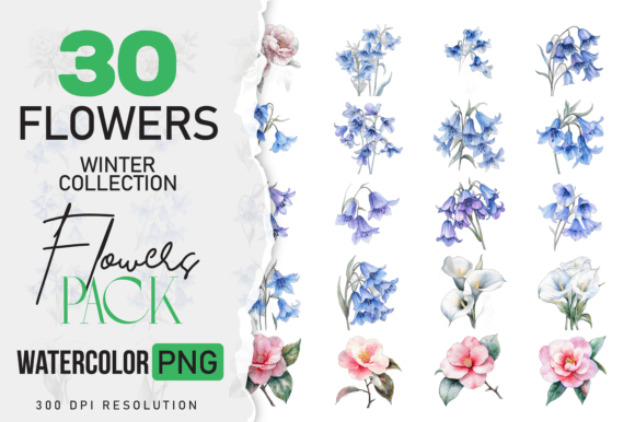 Download Wild Floral Clipart Watercolor Flowers - Watercolor Collection