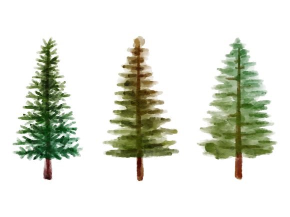 Download Christmas Watercolor Pine Tree - Watercolor Collection