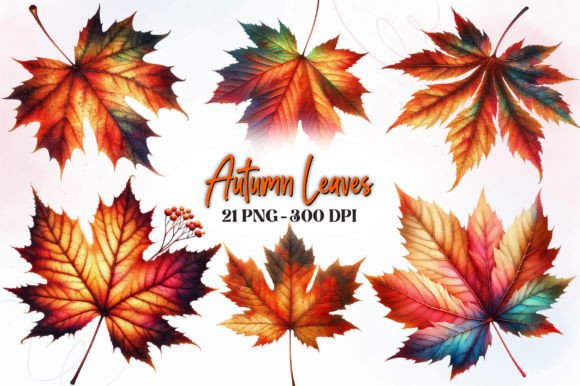 Download Autumn Leave, Fall Watercolor Clipart - Watercolor Collection