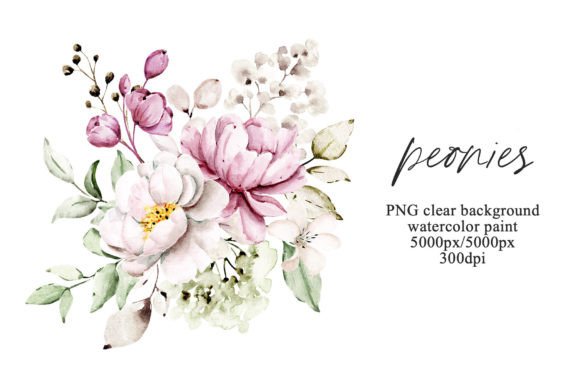 Download Pink Flowers Watercolor Peonies, PNG. - Watercolor Collection
