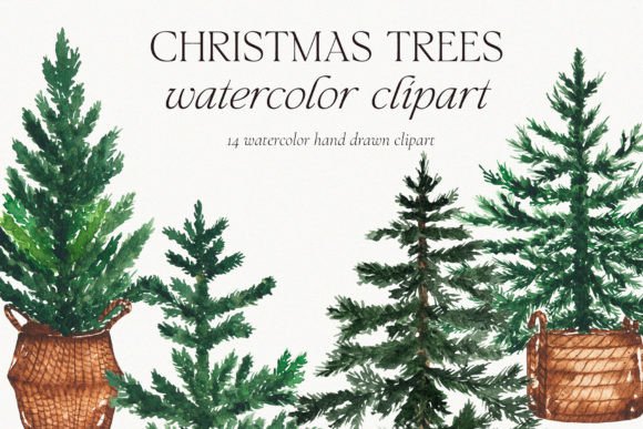 Download Watercolor Christmas Pine Tree Clipart - Watercolor Collection